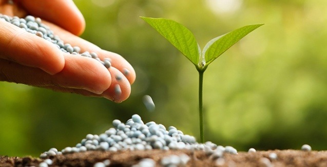 Mitos e verdades sobre o fertilizante